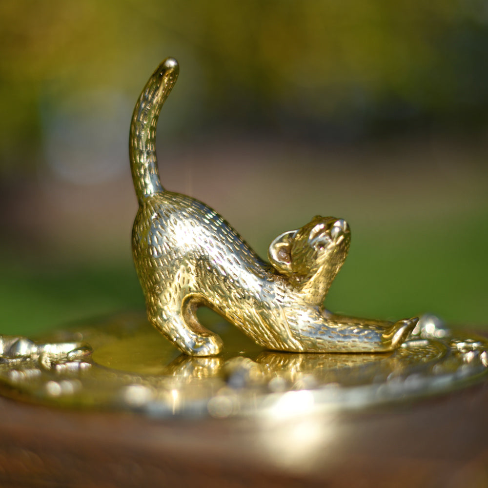 Polsihed brass garden sundial close up of cat