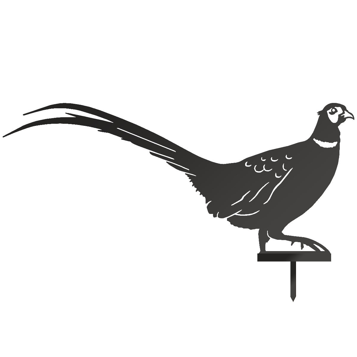 Ring-necked Pheasant Garden Sheet Steel Silhouette In Black