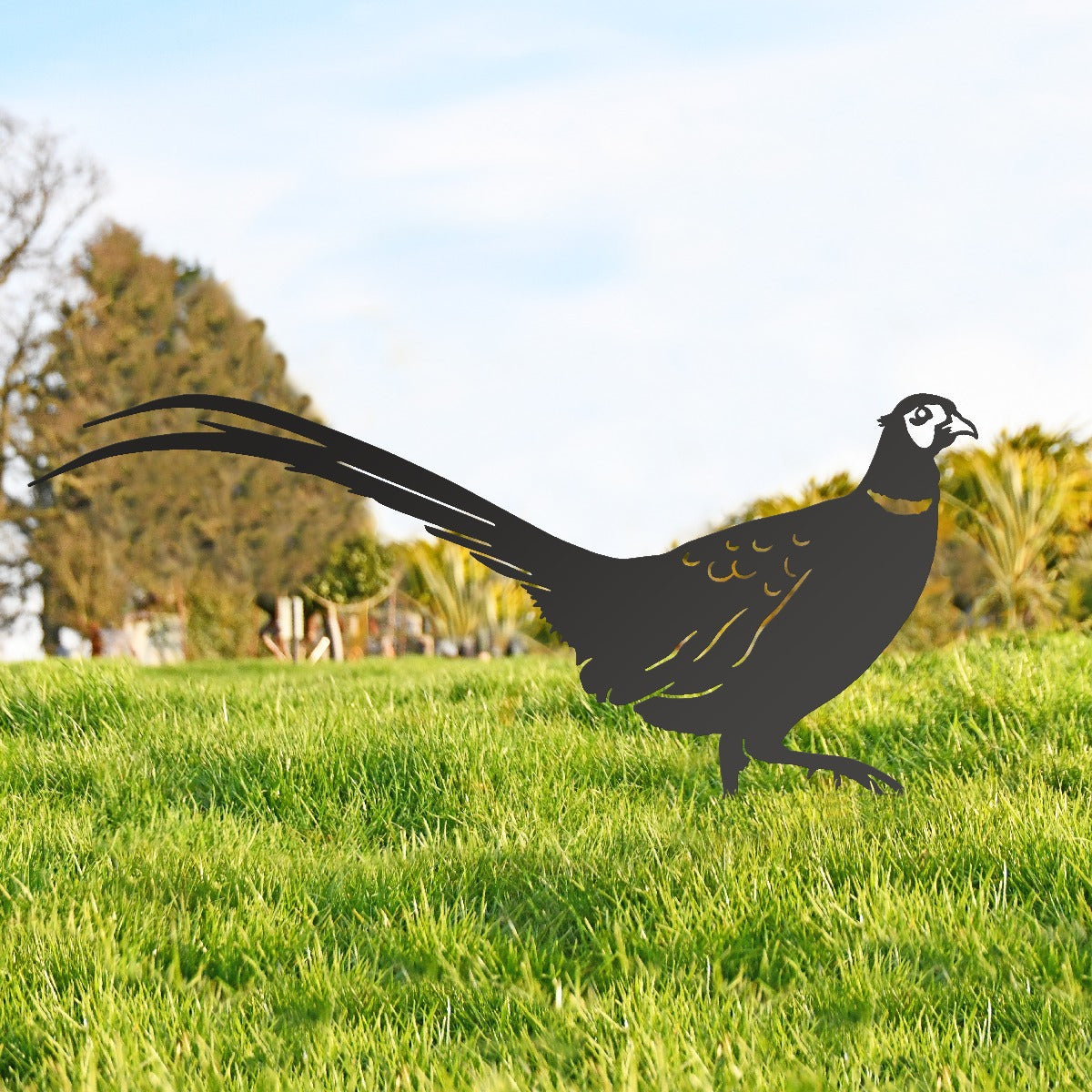 Ring-necked Pheasant Garden Sheet Steel Silhouette In Black