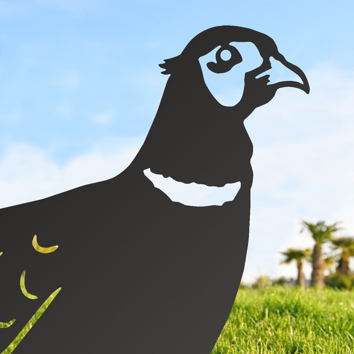 Ring-necked Pheasant Garden Sheet Steel Silhouette In Black Close Up 