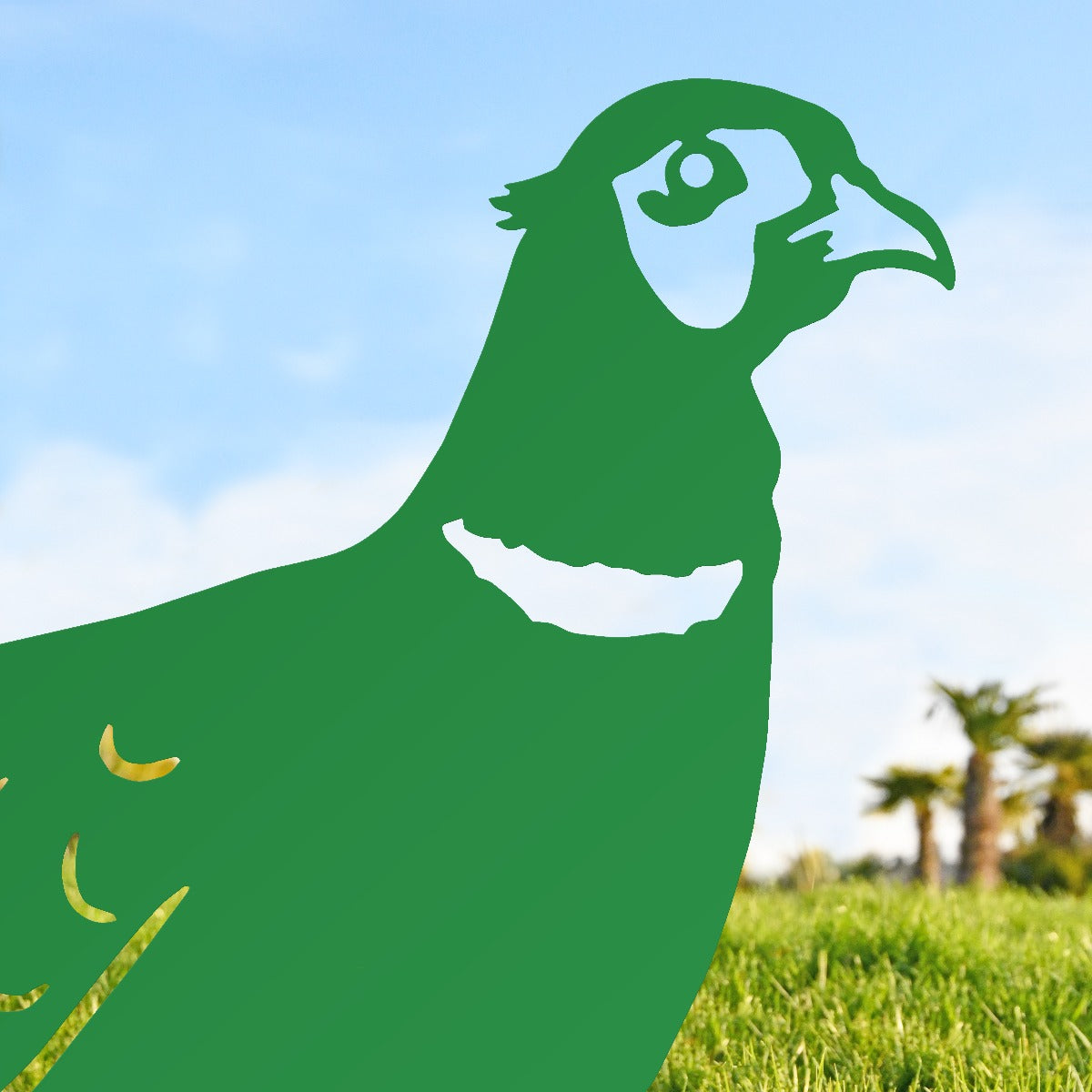 Ring-necked Pheasant Garden Sheet Steel Silhouette In Green Close Up