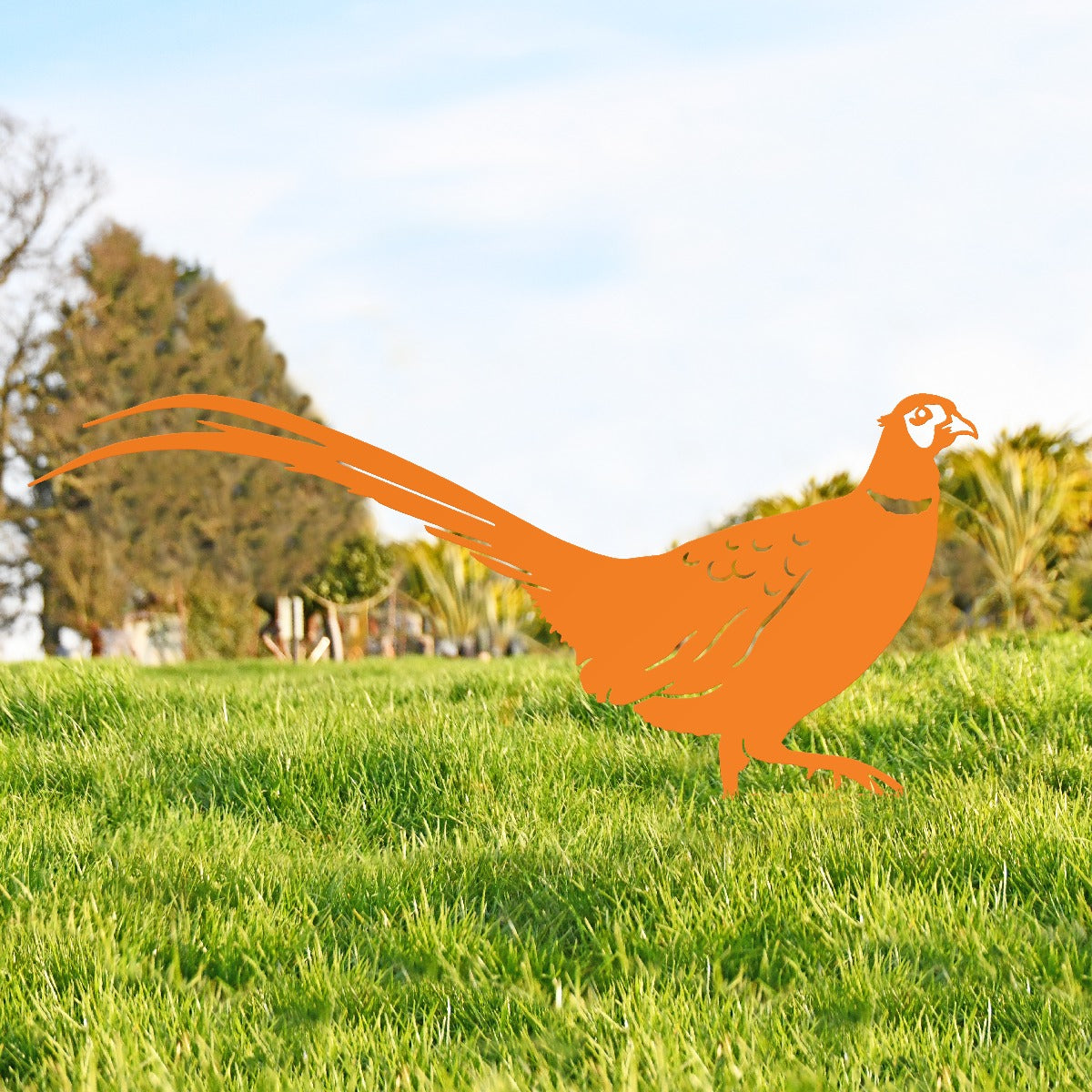 Ring-necked Pheasant Garden Sheet Steel Silhouette In Orange