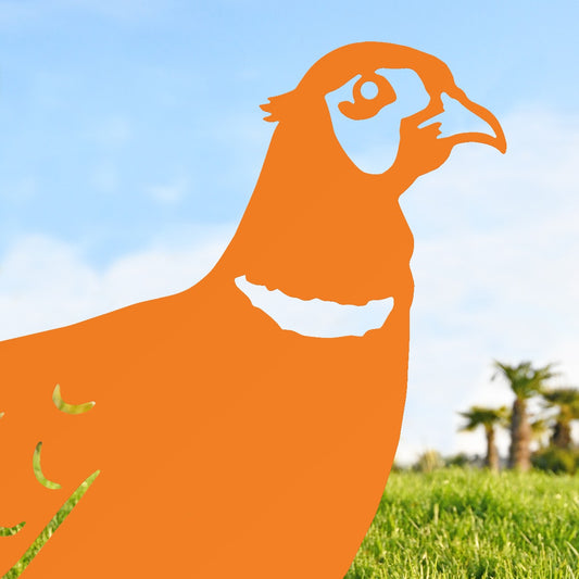 Ring-necked Pheasant Garden Sheet Steel Silhouette In Orange Close Up
