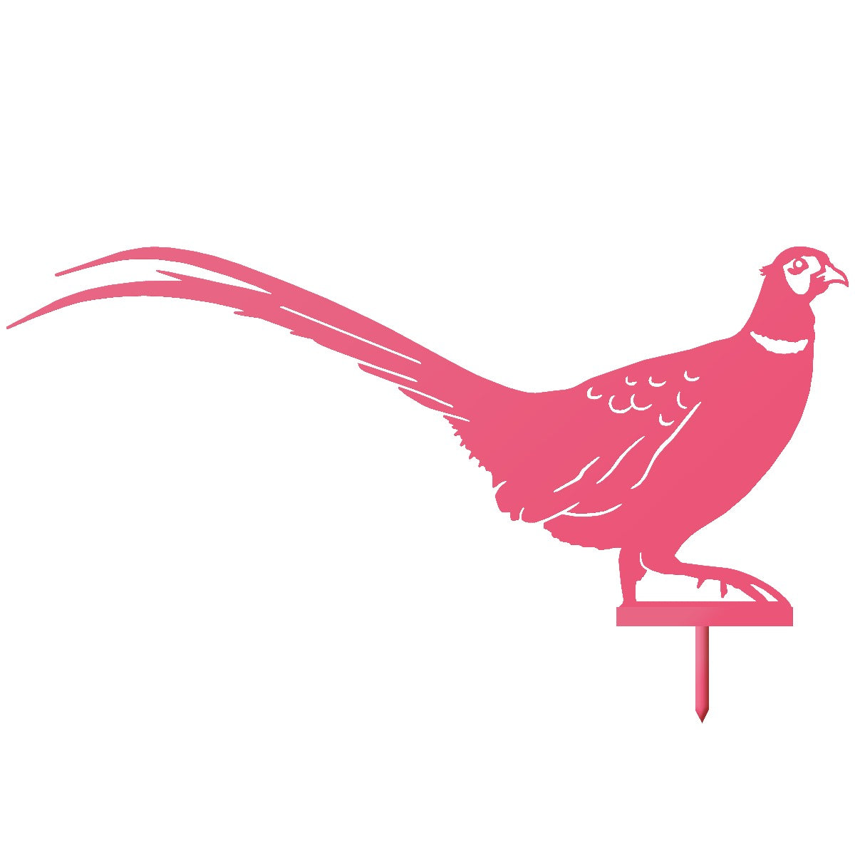 Ring-necked Pheasant Garden Sheet Steel Silhouette In Pink