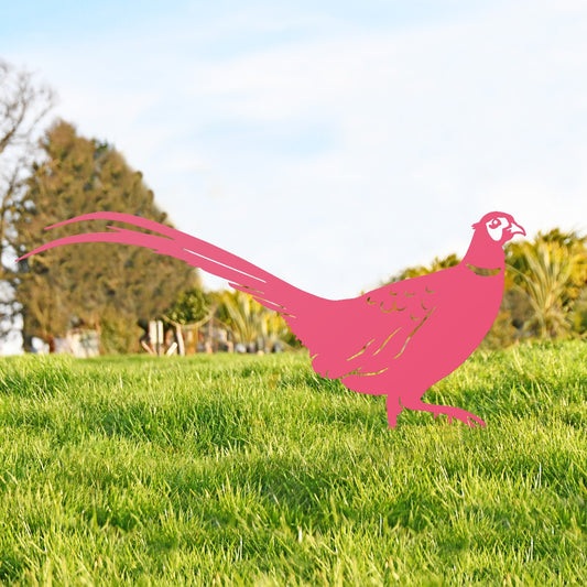 Ring-necked Pheasant Garden Sheet Steel Silhouette In Pink