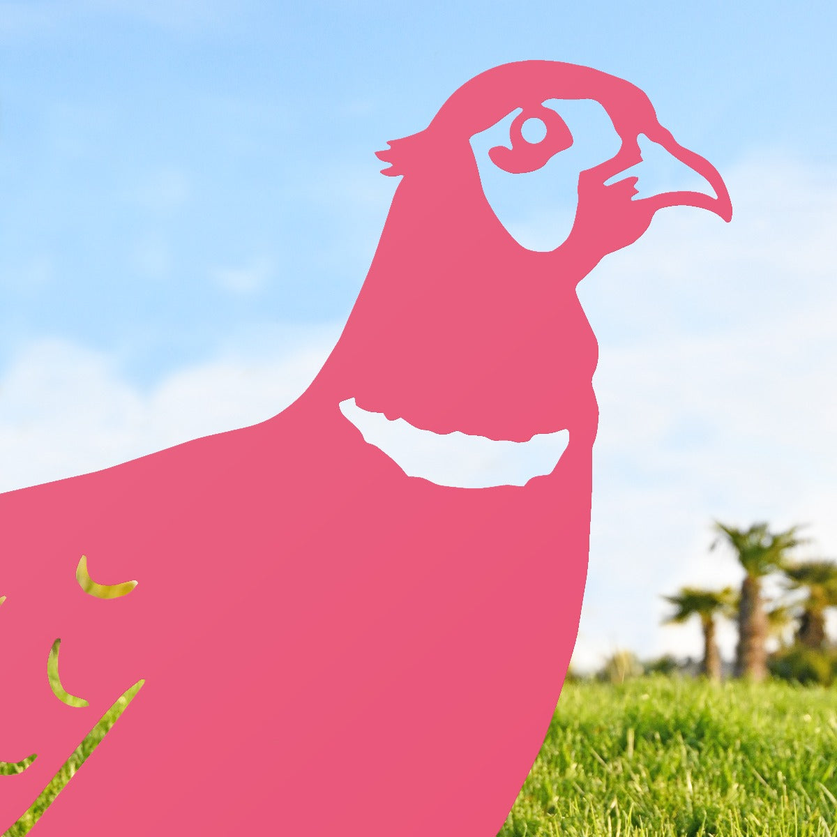 Ring-necked Pheasant Garden Sheet Steel Silhouette In Pink Close Up 