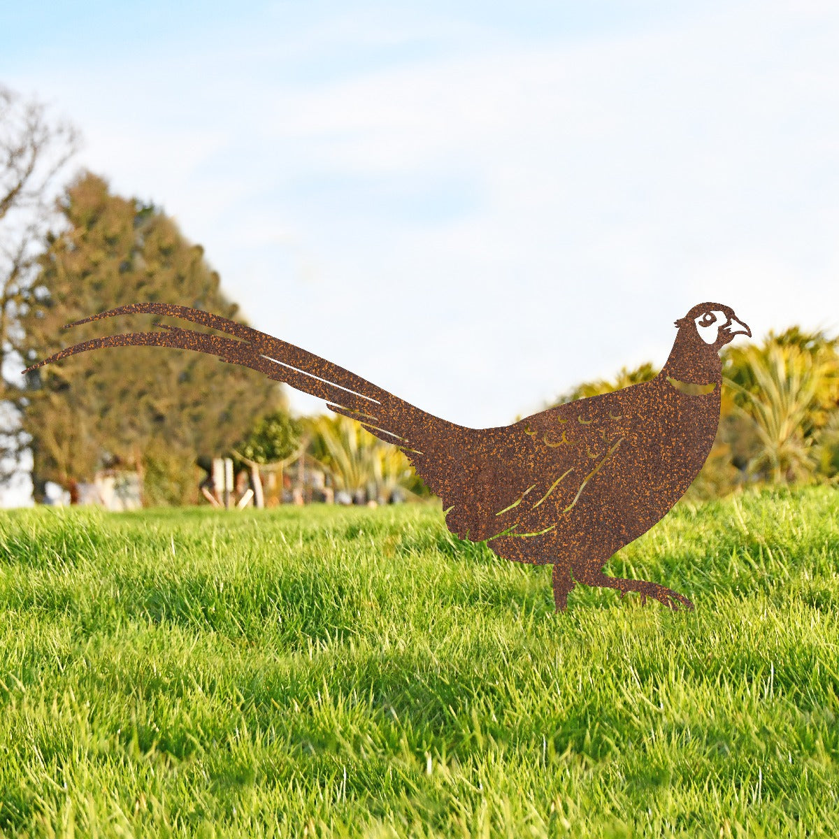 Rusic Ring-necked Pheasant Garden Sheet Steel Silhouette In Rustic