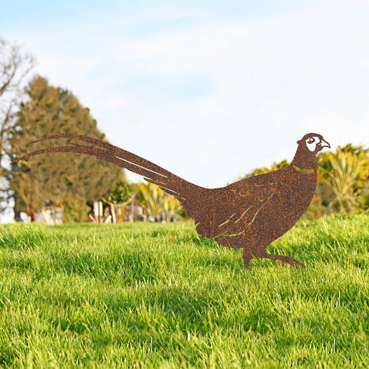 Rusic Ring-necked Pheasant Garden Sheet Steel Silhouette In Rustic