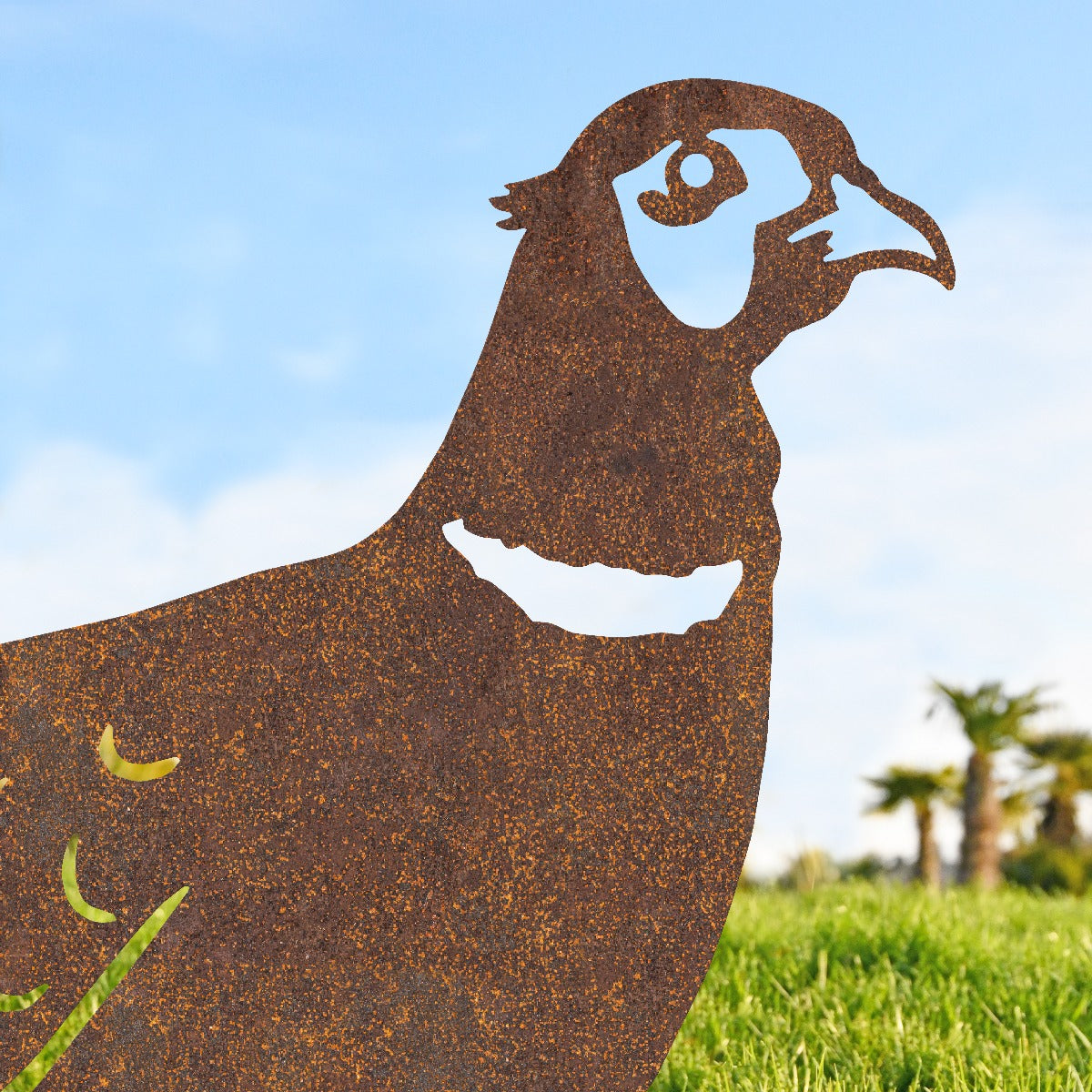 Rusic Ring-necked Pheasant Garden Sheet Steel Silhouette In Rustic Close Up