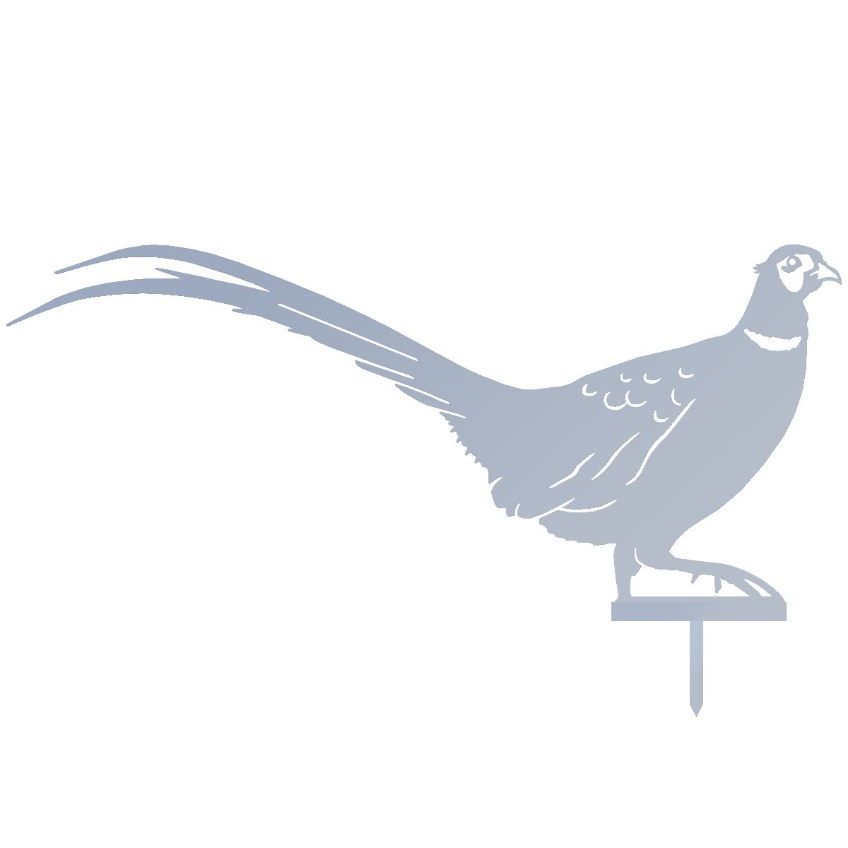 Ring-necked Pheasant Garden Sheet Steel Silhouette In Silver
