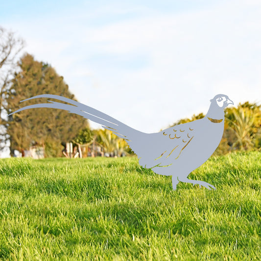 Ring-necked Pheasant Garden Sheet Steel Silhouette In Silver