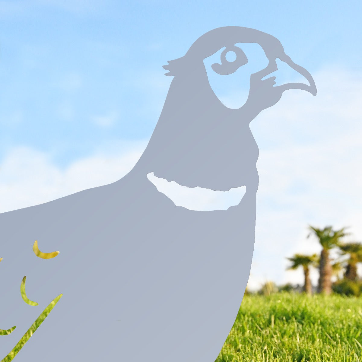 Ring-necked Pheasant Garden Sheet Steel Silhouette In Silver Close Up