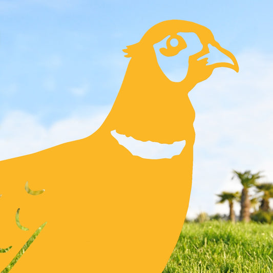 Ring-necked Pheasant Garden Sheet Steel Silhouette In Yellow Close Up