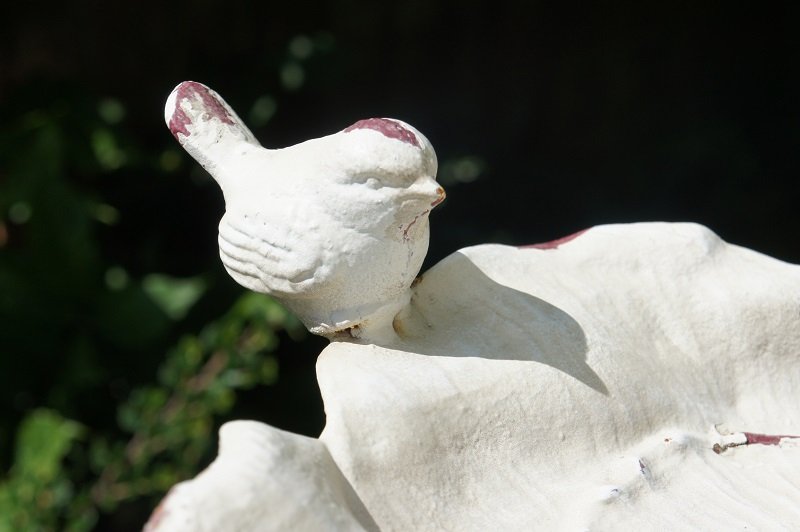 Queen’s Rose Floral Bird Bath