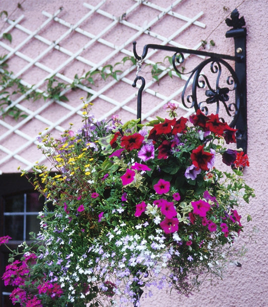 18" Garden or Lamp Post Hanging Basket Brackets