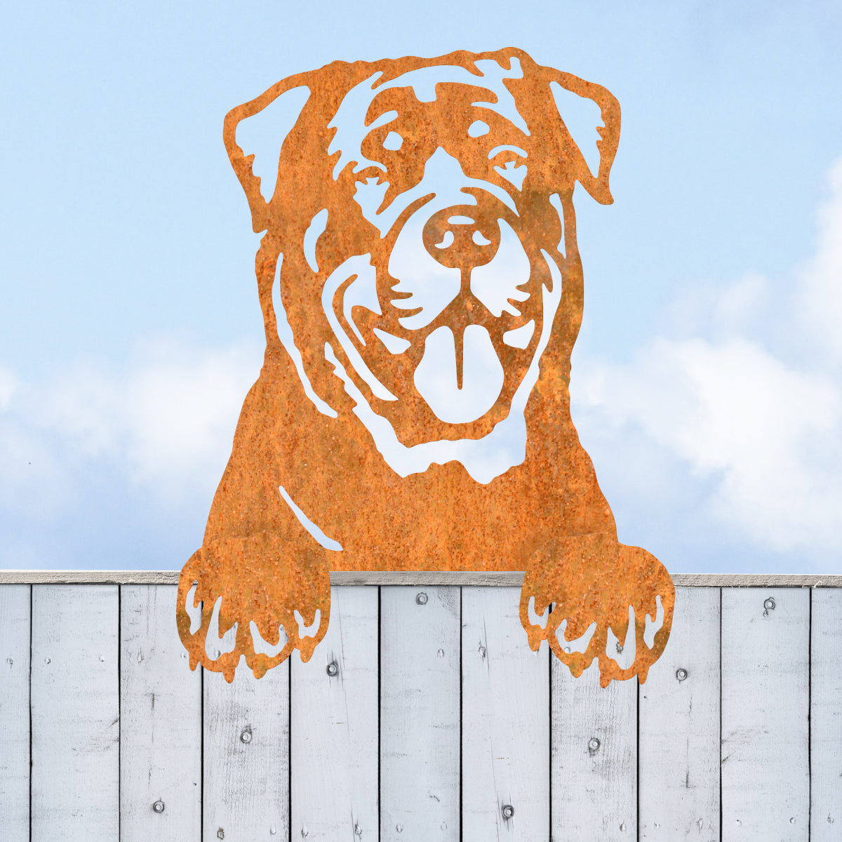The Rottweiler on a grey fence