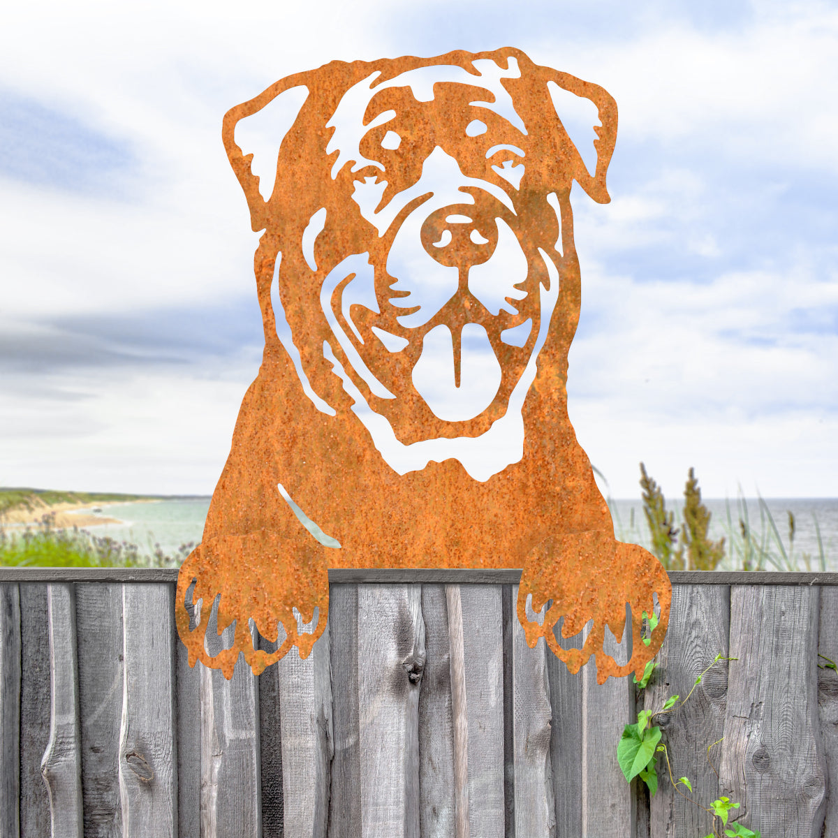 The Rottweiler on a natural fence