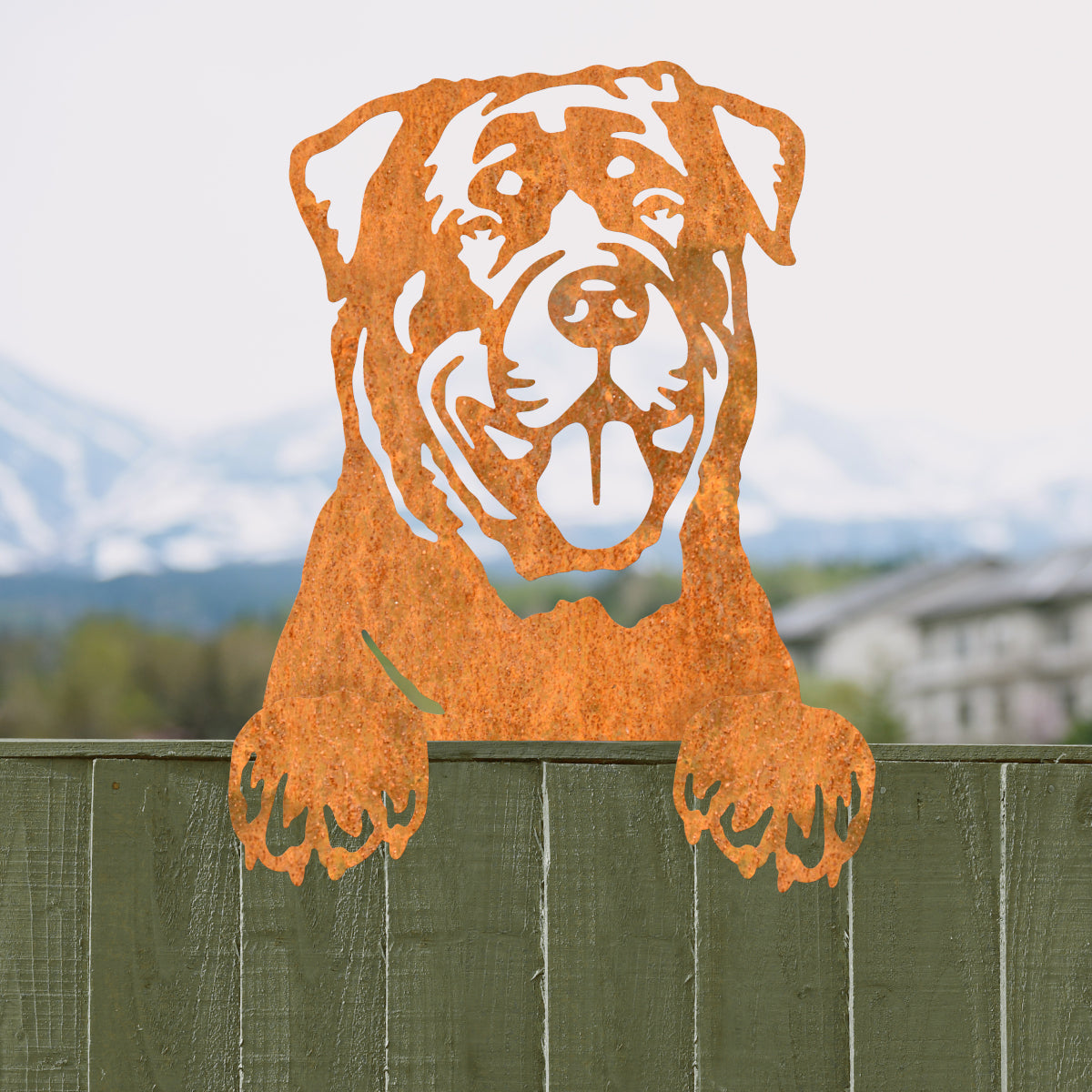 The Rottweiler on a green fence