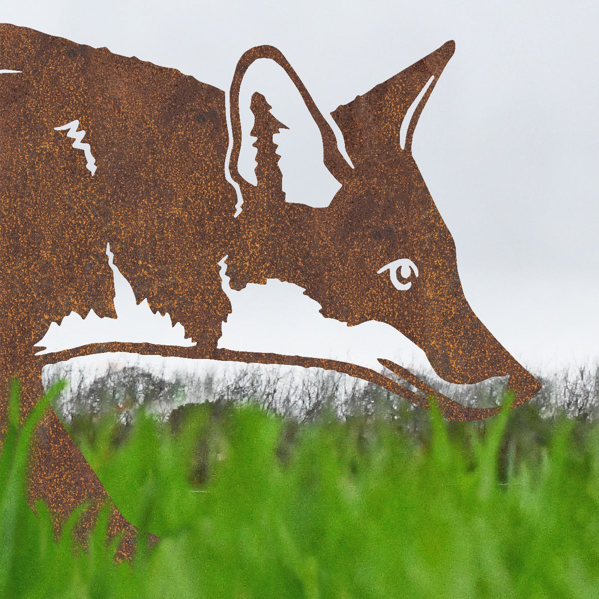 Close Up Of Fox Garden Sheet Steel Silhouette In Rustic