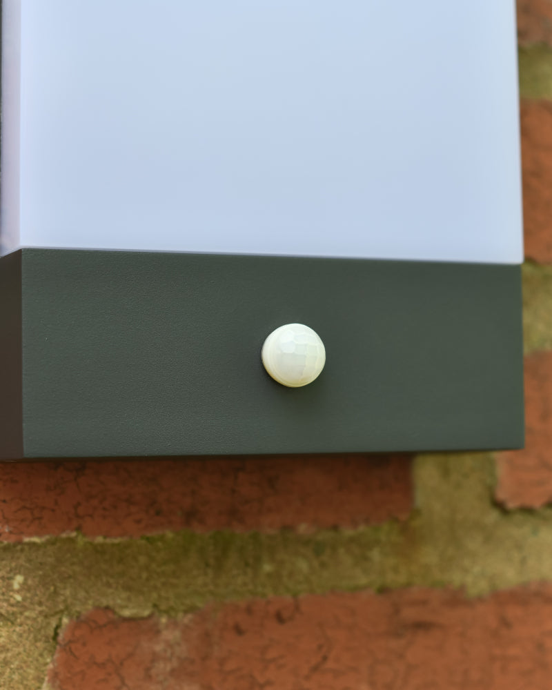 Close up of the PIR sensor