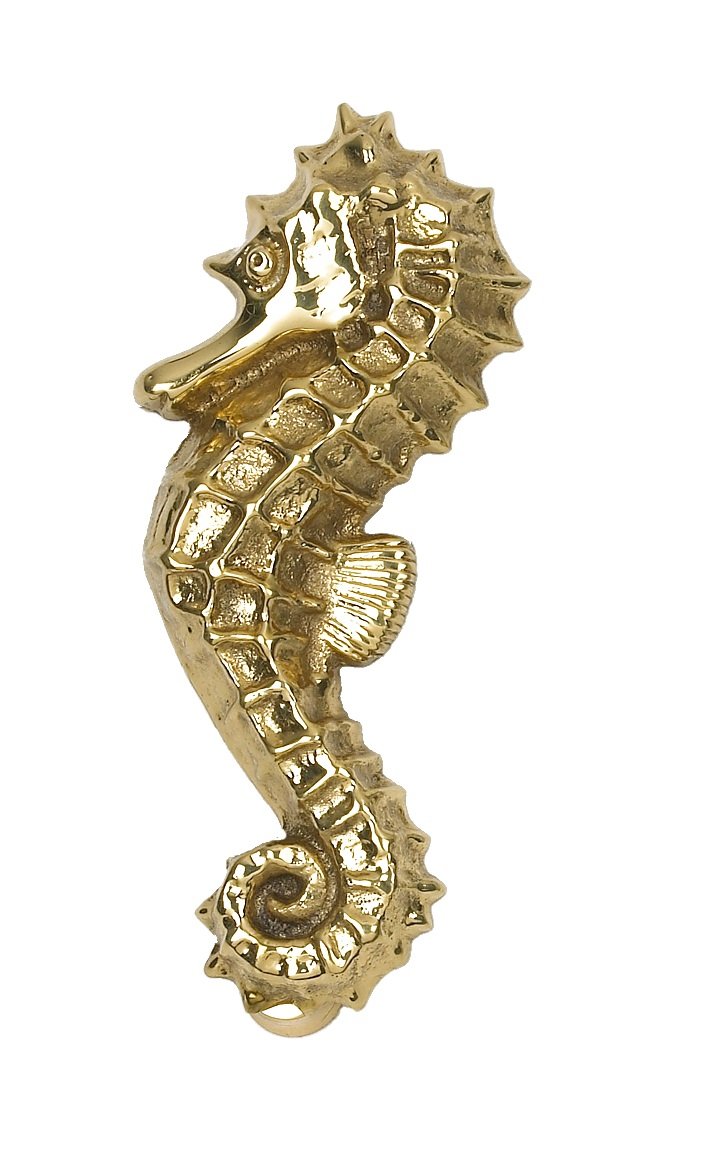 Sea horse door knocker