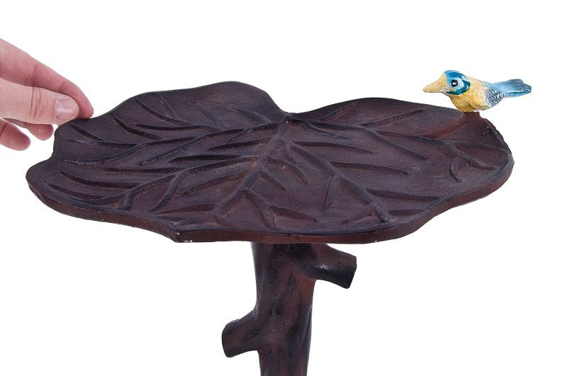 Forest Falls Bird Bath or Feeder