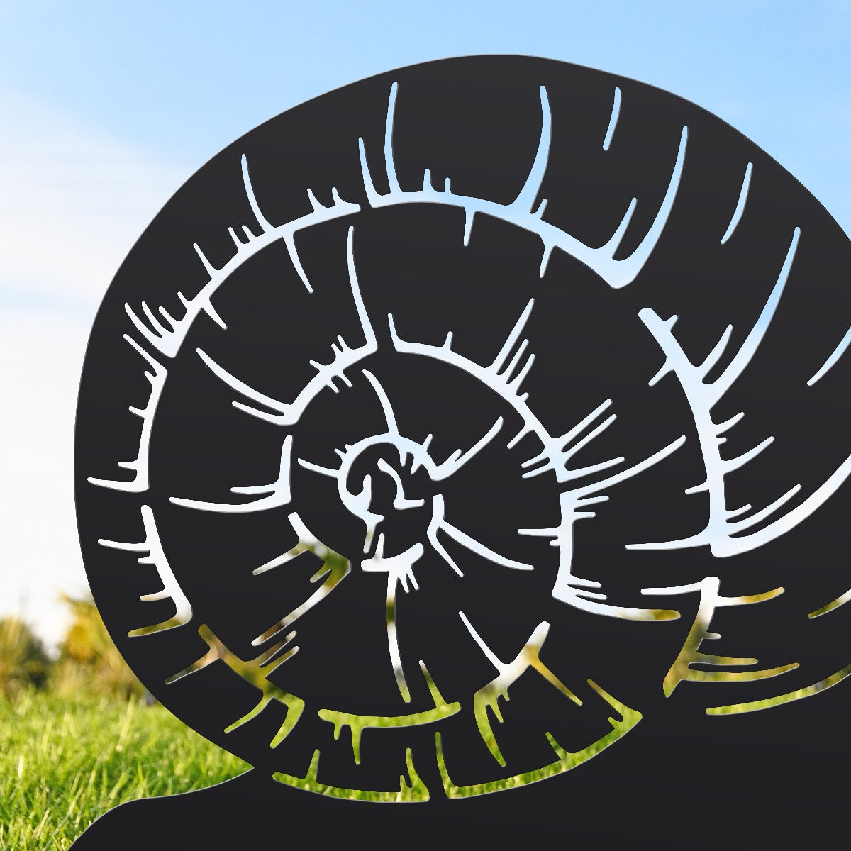 Snail Sheet Steel Silhouette In Black