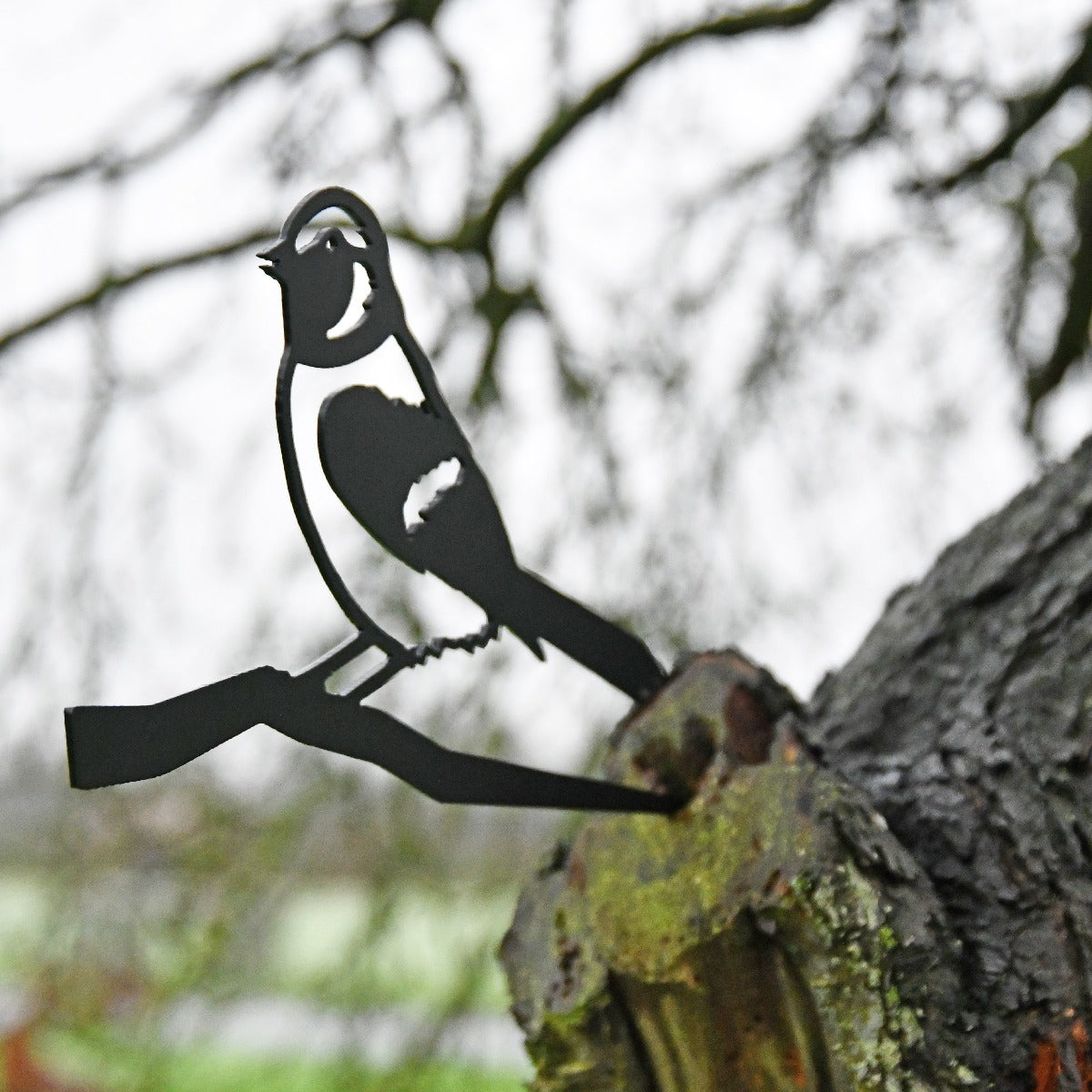 Sparrow Garden Sheet Steel Tree Spike In Black
