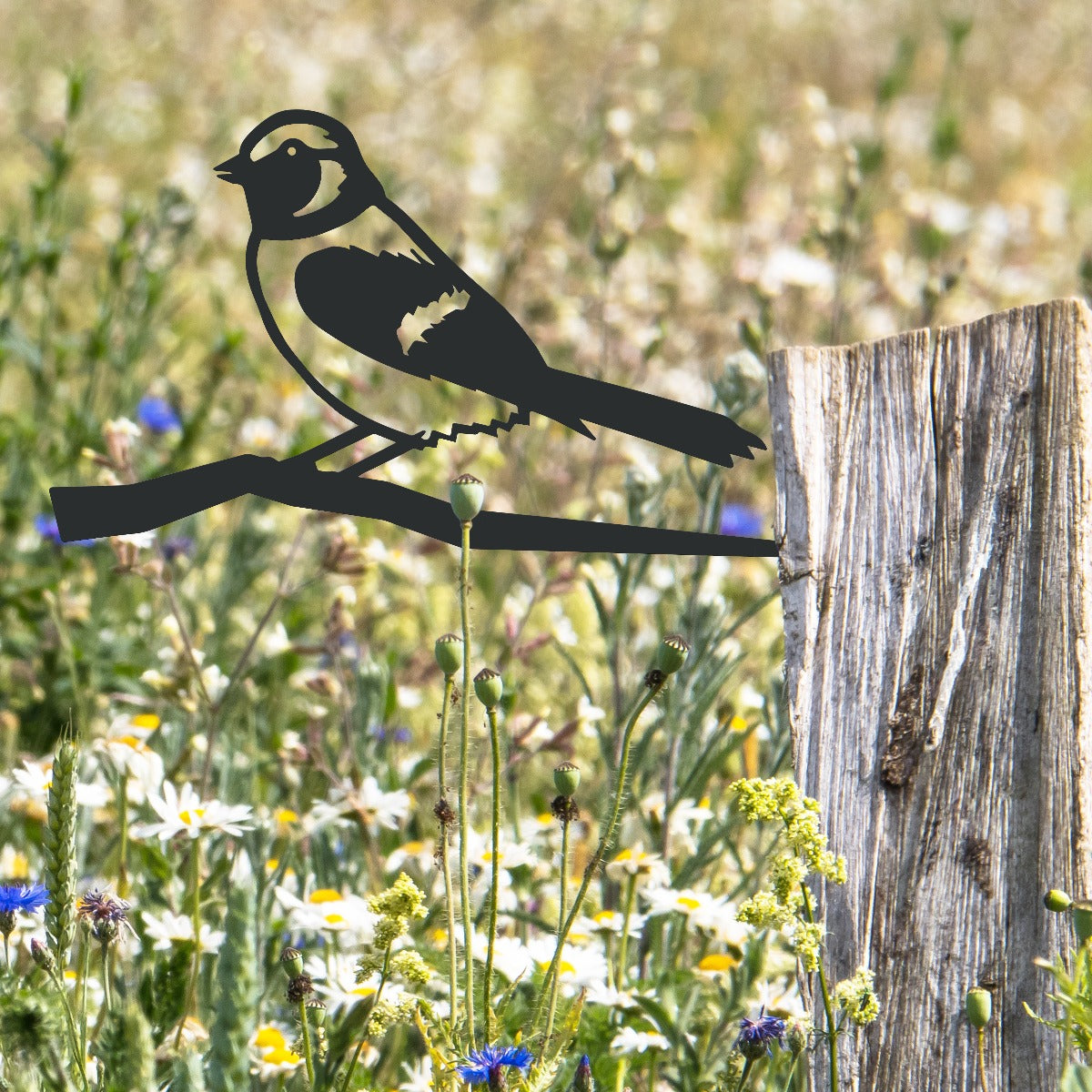 Sparrow Garden Sheet Steel Tree Spike In Black