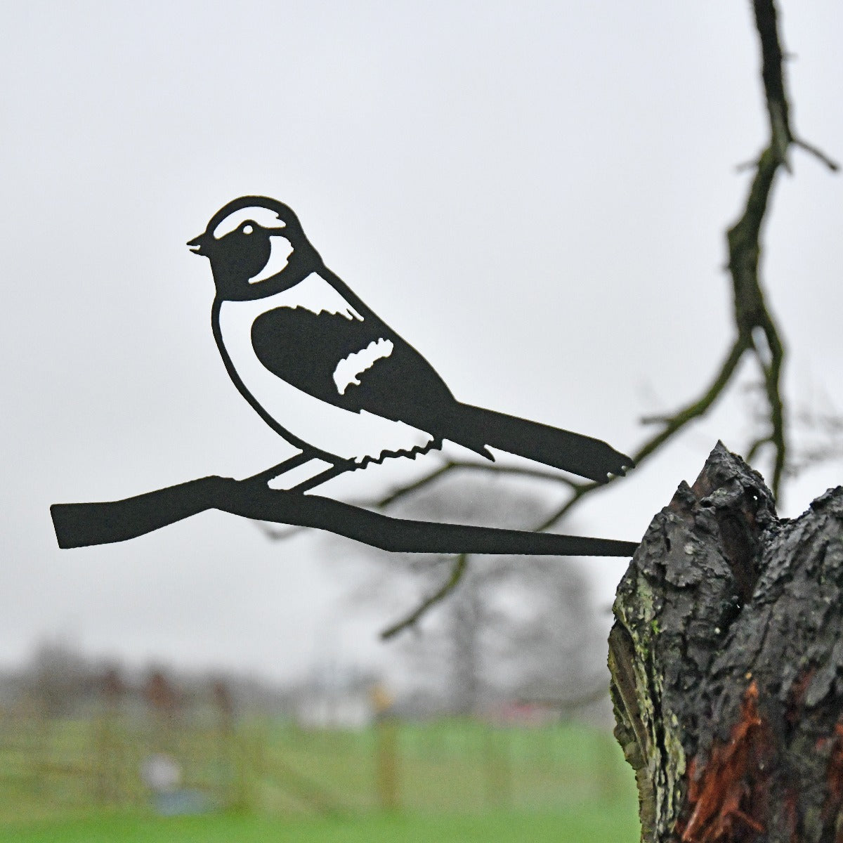 Sparrow Garden Sheet Steel Tree Spike In Black