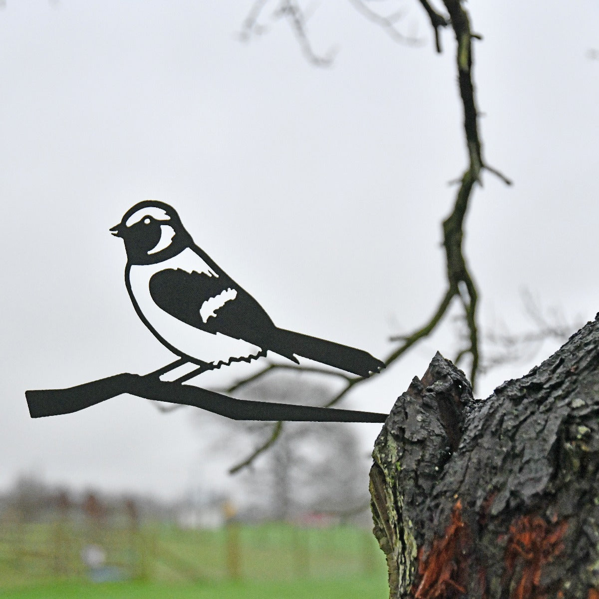 Sparrow Garden Sheet Steel Tree Spike In Black