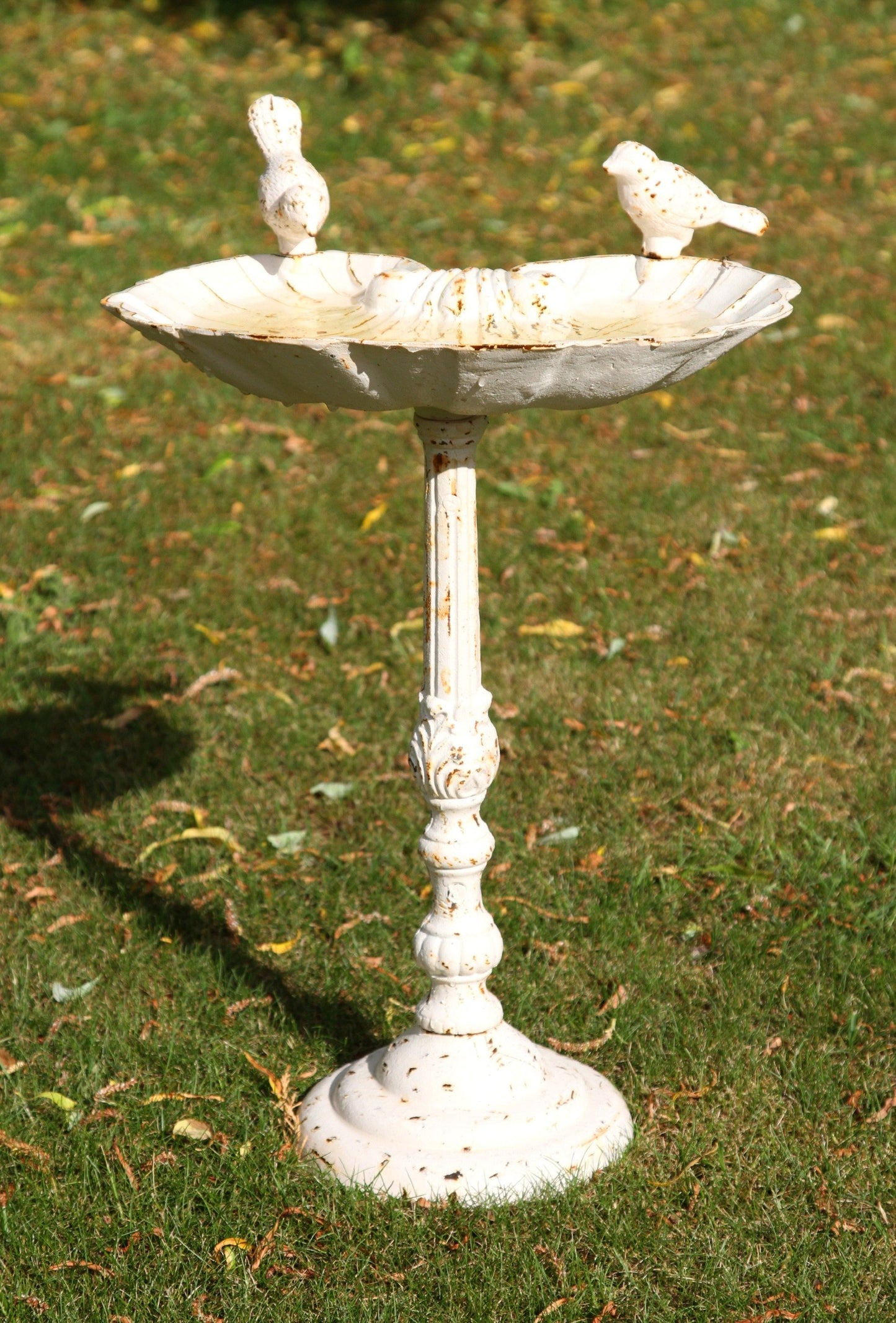 Primrose Garden Bird Bath