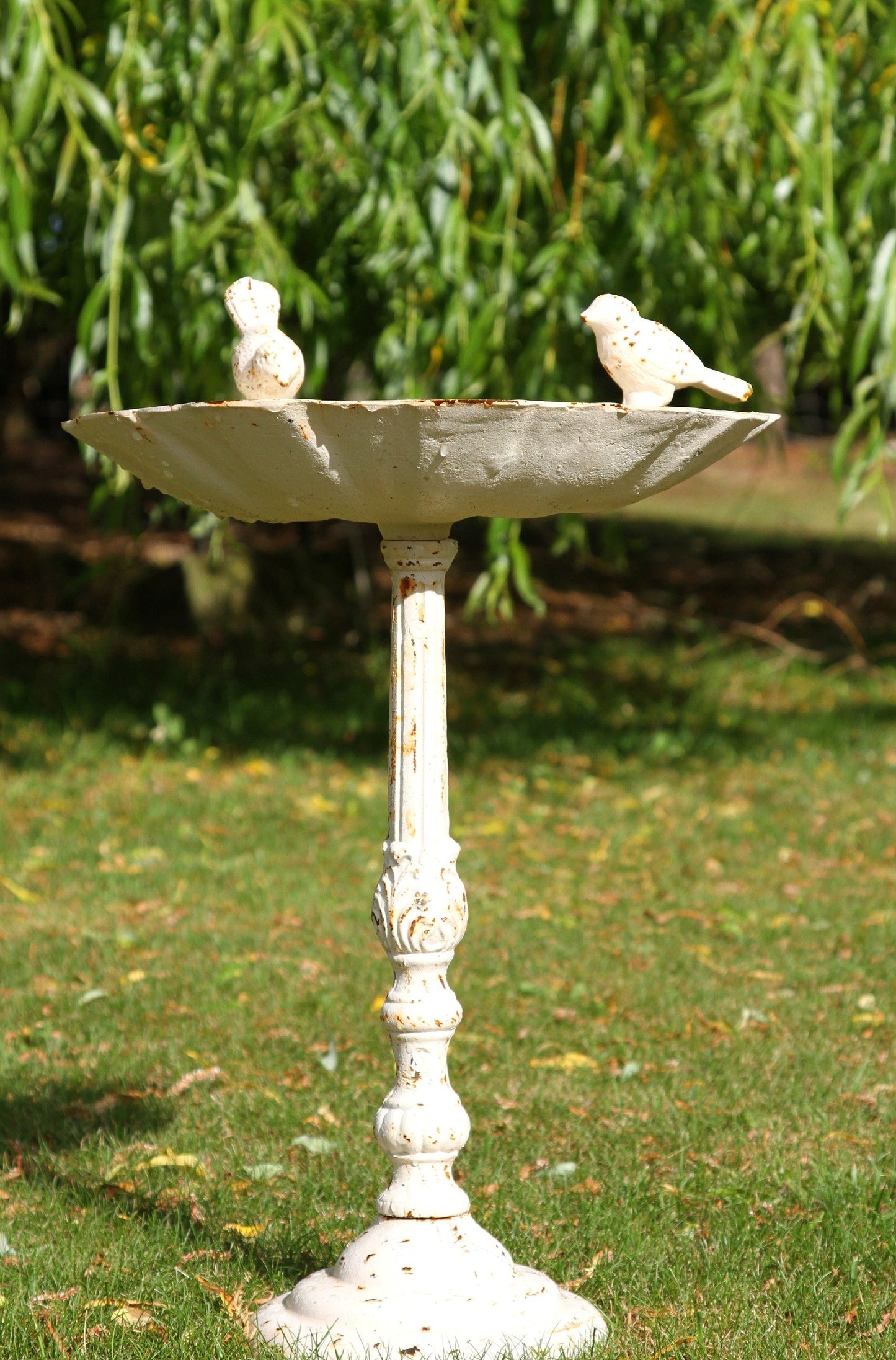 Primrose Garden Bird Bath