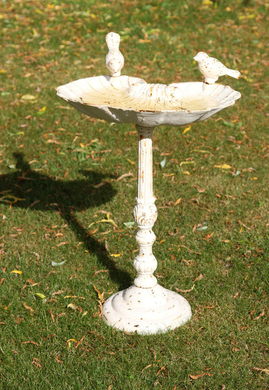 Primrose Garden Bird Bath