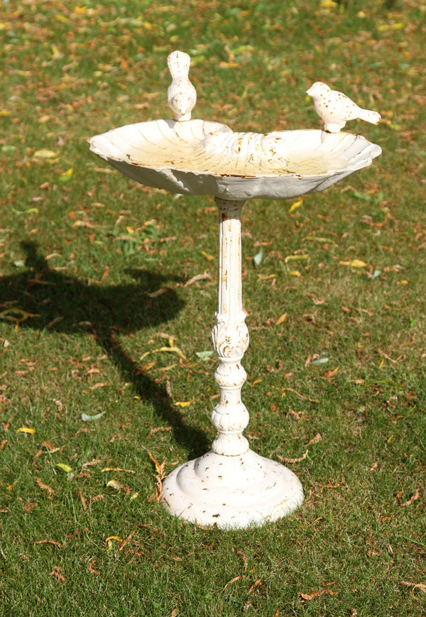 Primrose Garden Bird Bath