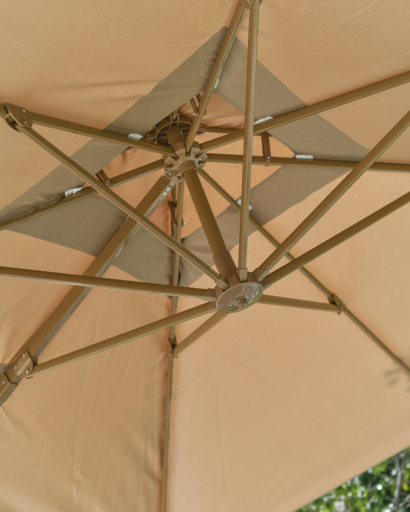 Magnified view of umbrella inside apex 