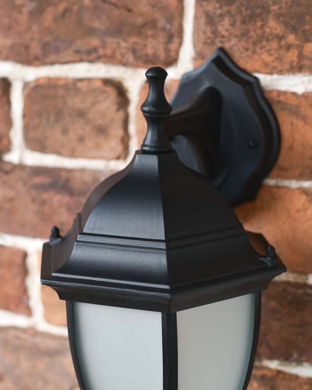 The 'Warwick' light apex