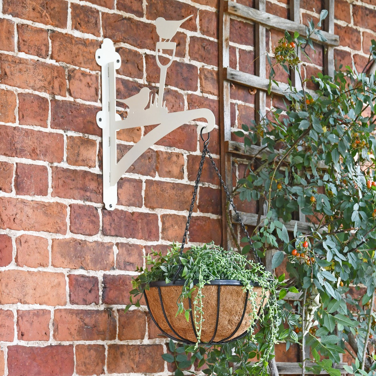 Cream "Robin" Garden Hanging Basket Bracket