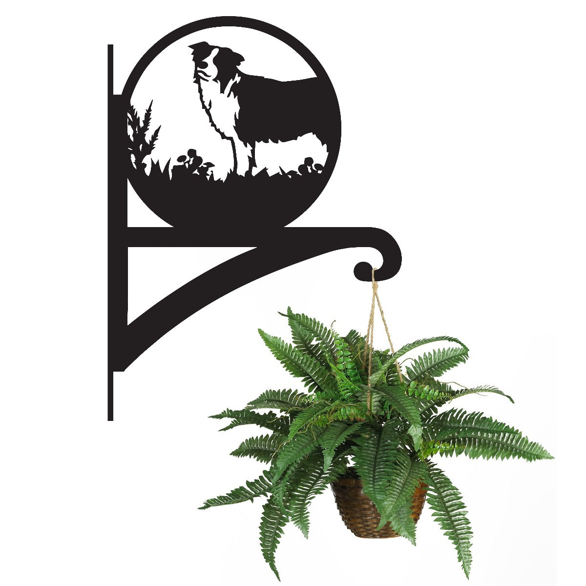 "Border Collie" Dog Garden Hanging Basket Bracket