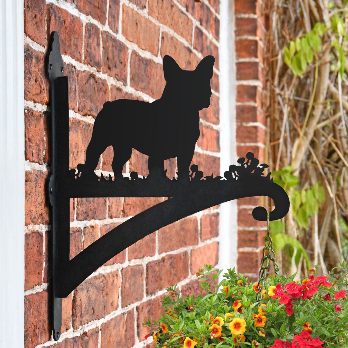 'French Bulldog' Iron Hanging Basket Bracket