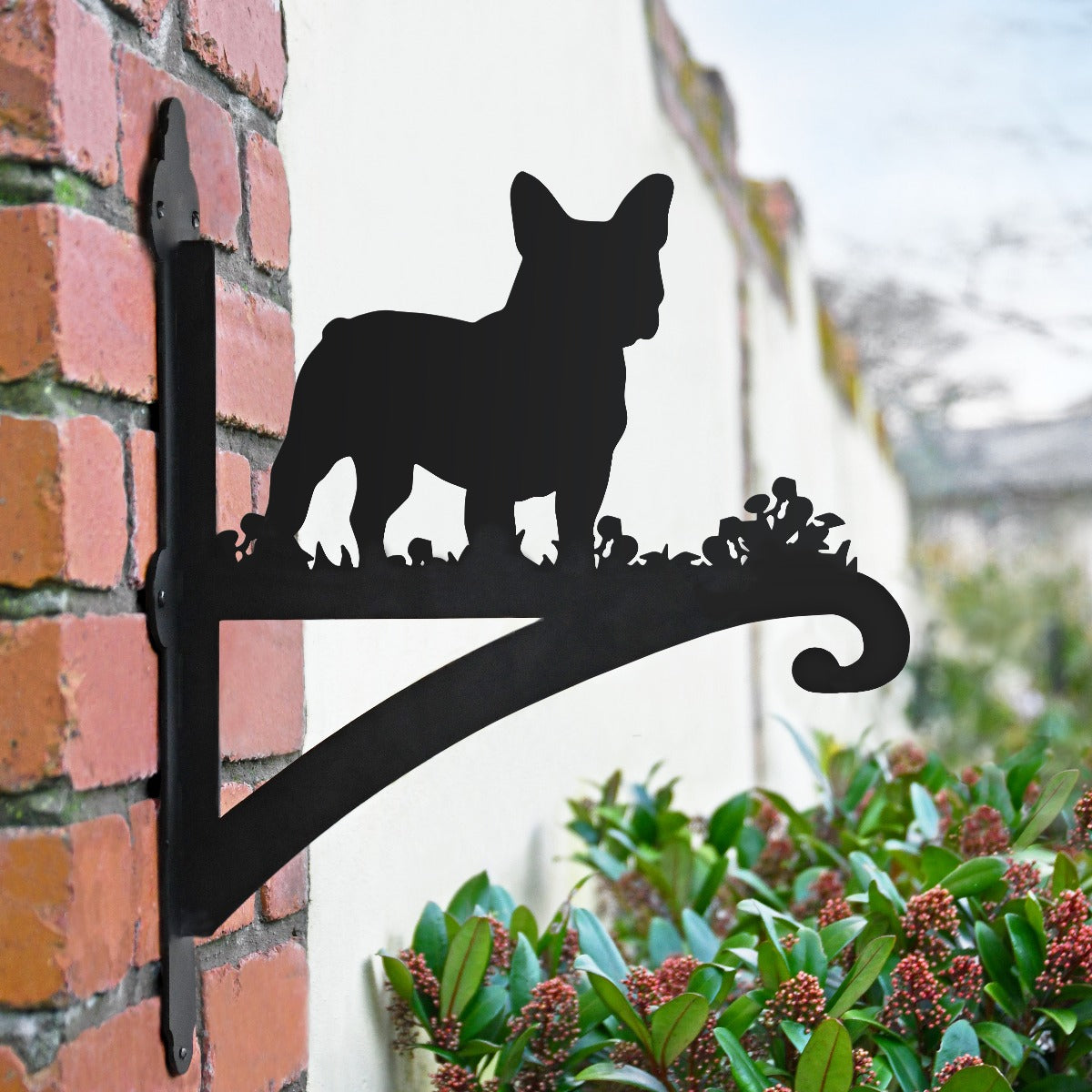 'French Bulldog' Iron Hanging Basket Bracket
