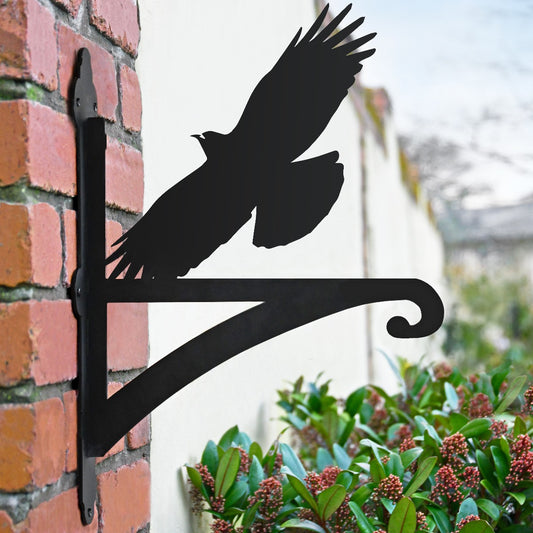 "Cornish Chough" Garden Hanging Basket Bracket In Situ