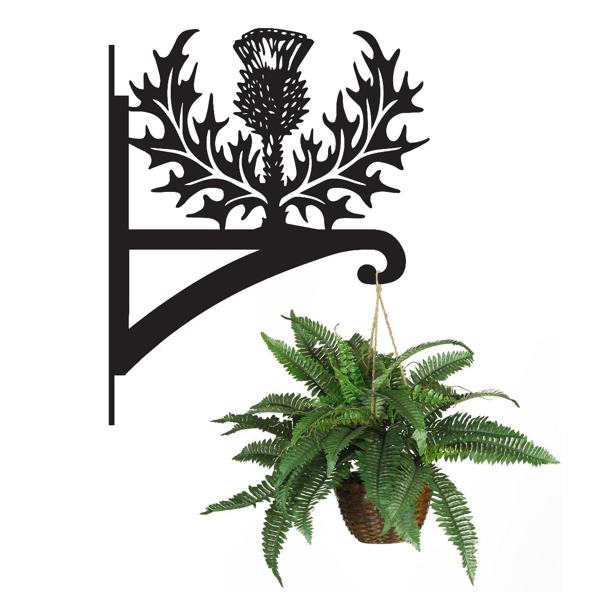 "Scottish Thistle" Garden Hanging Basket Bracket