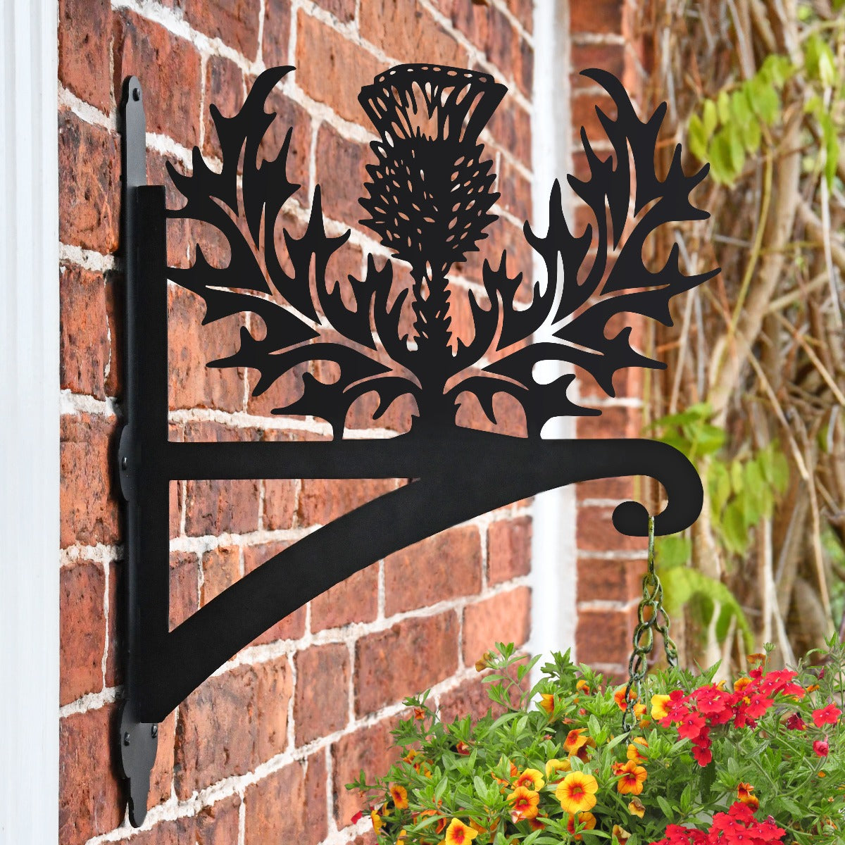 "Scottish Thistle" Garden Hanging Basket Bracket