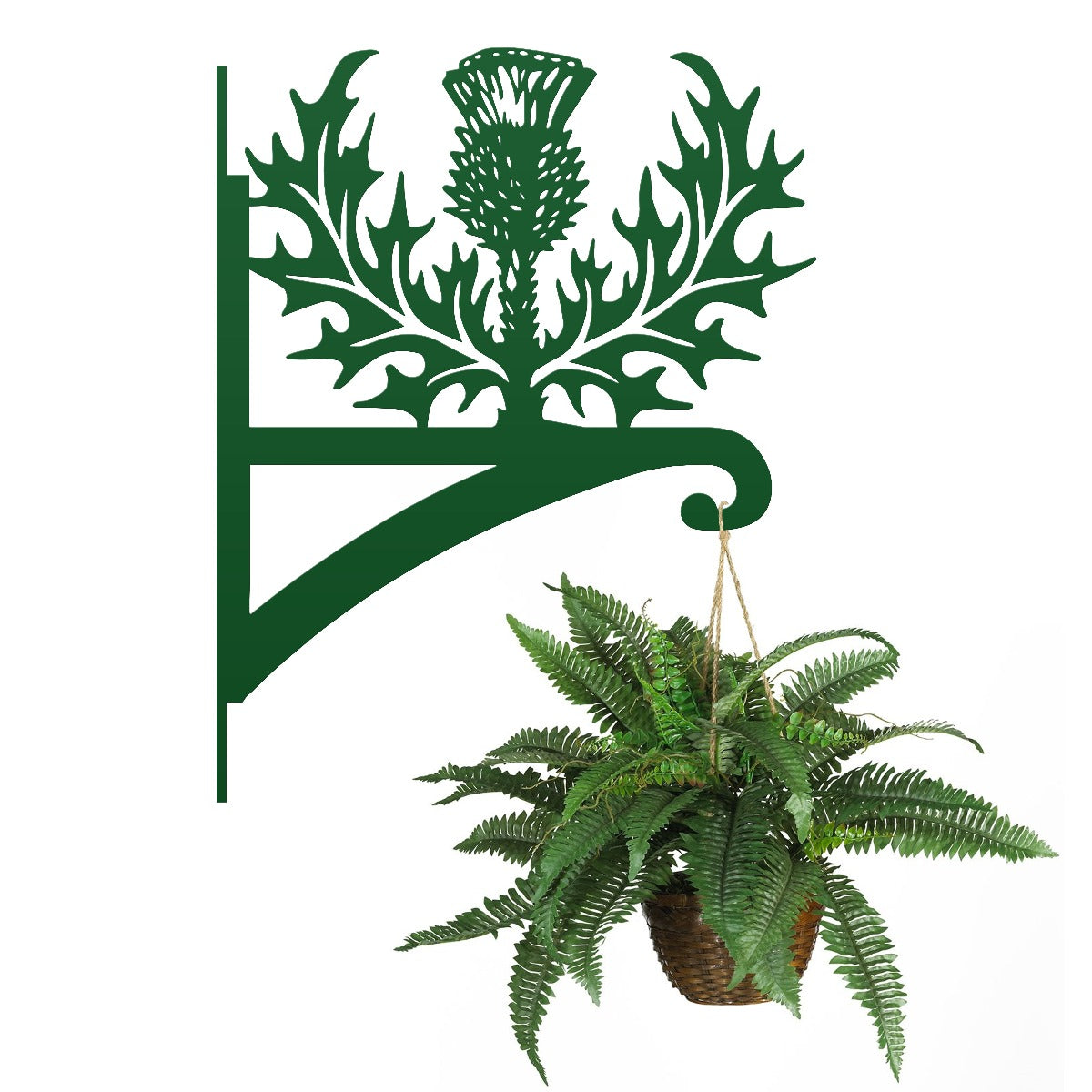 Green "Thistle" Garden Hanging Basket Bracket
