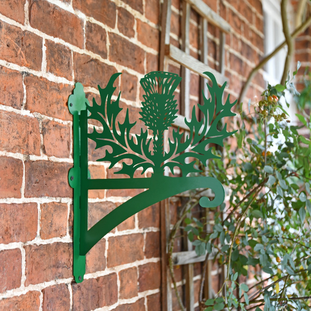 Green "Thistle" Garden Hanging Basket Bracket