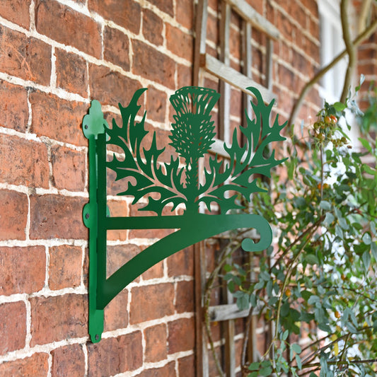 Green "Thistle" Garden Hanging Basket Bracket