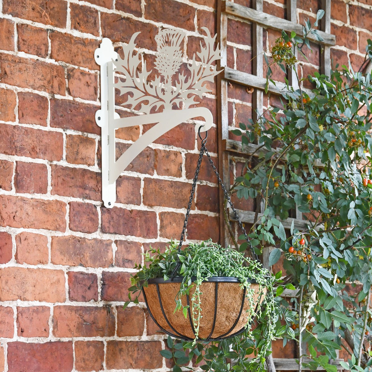 Cream "Thistle" Garden Hanging Basket Bracket