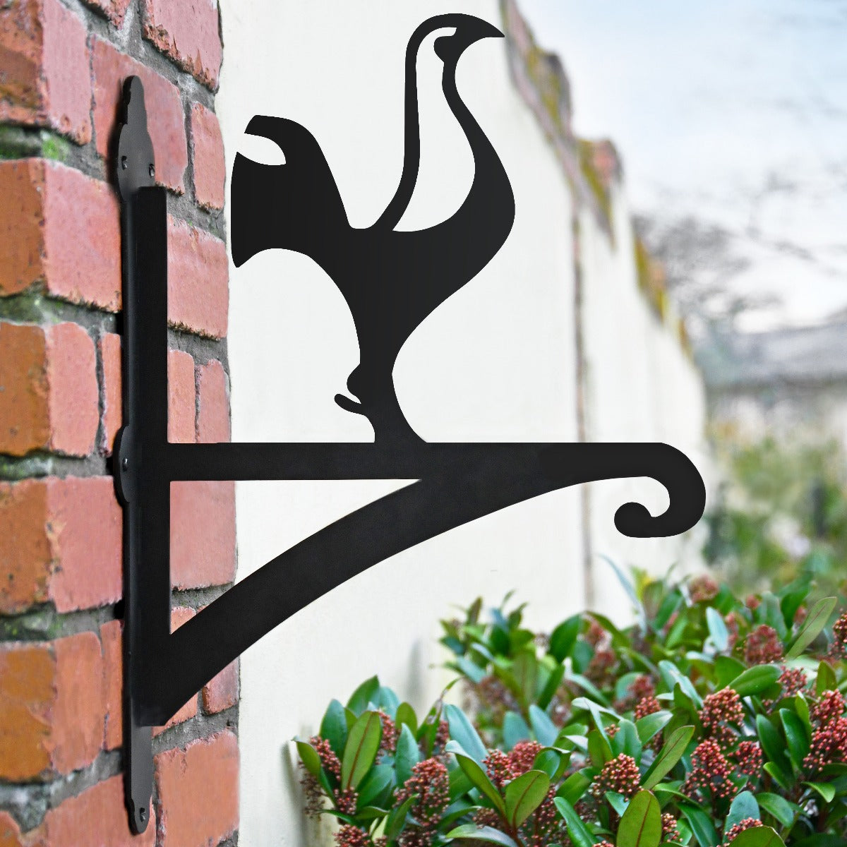 "Contemporary Cockerel" Garden Hanging Basket Bracket In Situ