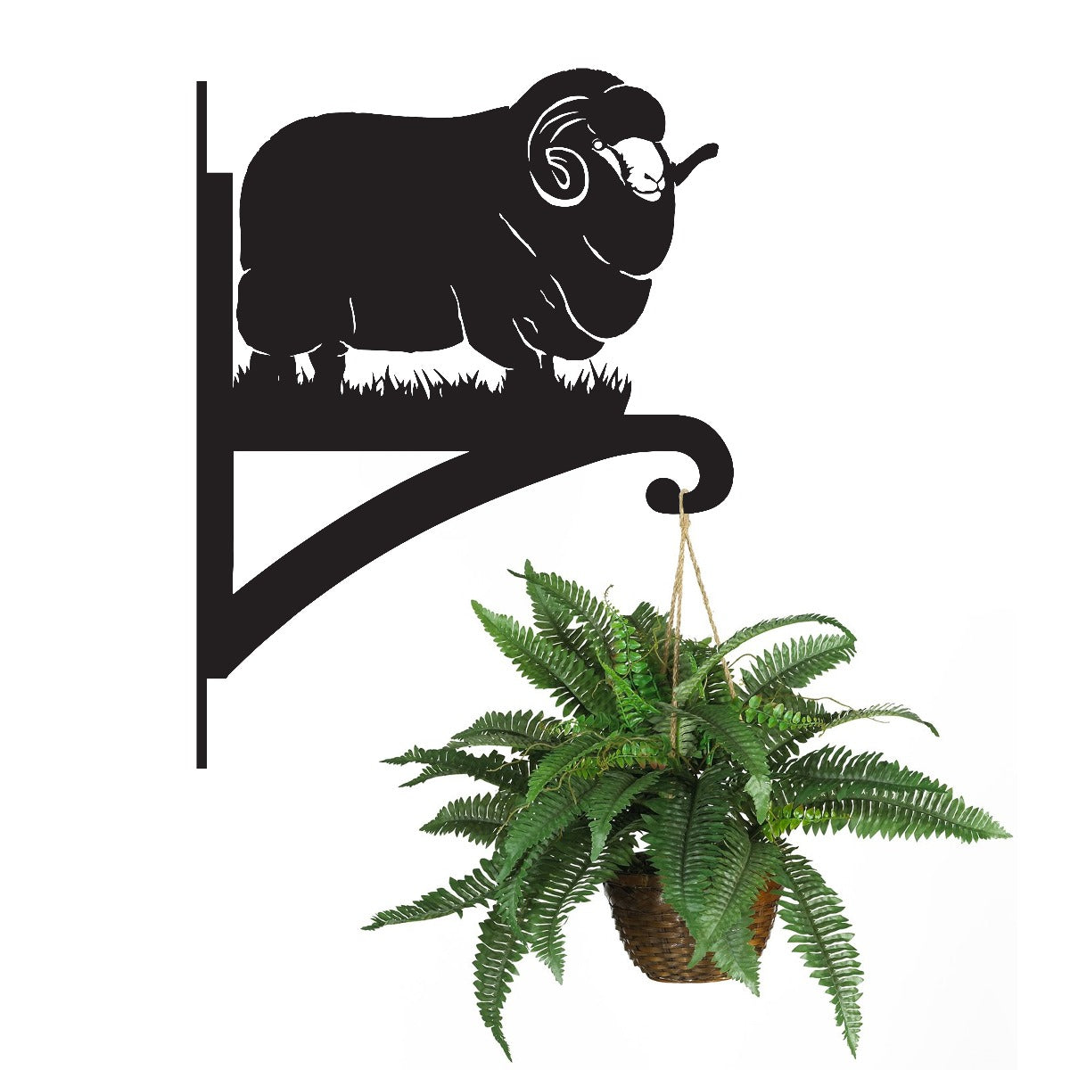 "Merina Sheep" Garden Hanging Basket Bracket